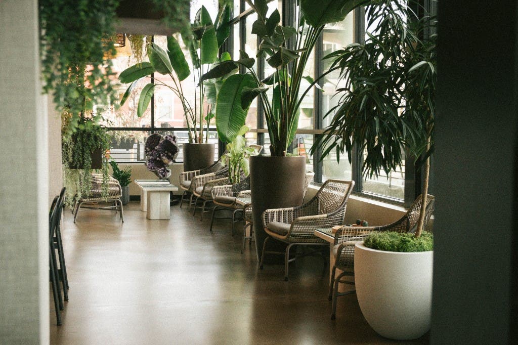 El lounge y las áreas comunes de Sacred Society, asientos cálidos y plantas bajo techos altos